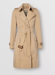 Stand Collar Button Front Coat